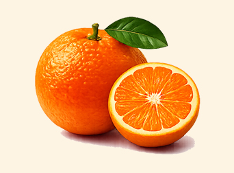 practical torah orange web