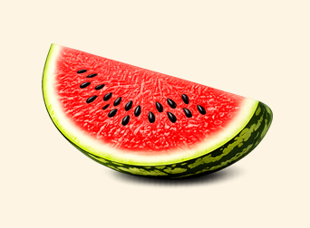 practical torah watermelon web